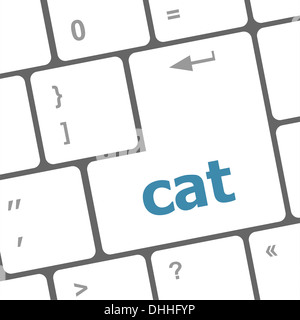 Katze-Wort auf Computer-pc-Tastatur Stockfoto