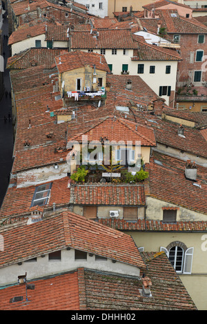 Dachgarten Lucca Toskana Italien Stockfoto