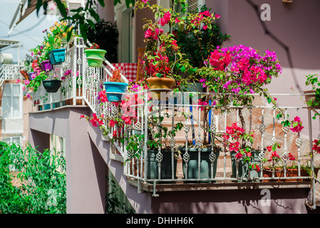 Blumen auf Balkon Stockfoto