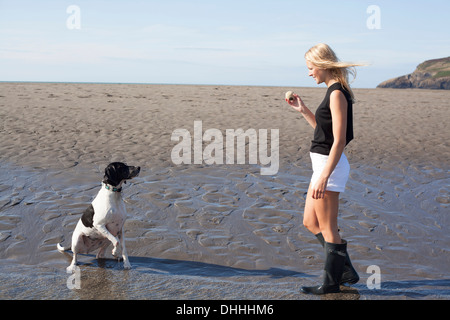 Frau mit Ball für Hund am Strand, Wales, UK Stockfoto