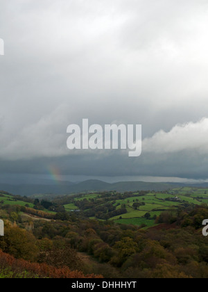 Herbstliche Landschaft an einem nasskalten bewölkten Tag in Carmarthenshire Wales UK KATHY DEWITT Stockfoto