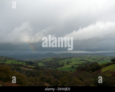 Herbstliche Landschaft an einem nasskalten bewölkten Tag in Carmarthenshire Wales UK KATHY DEWITT Stockfoto