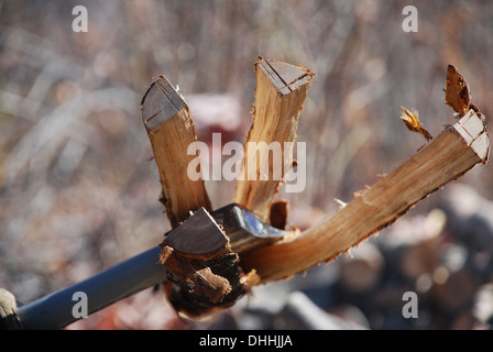 Holz mit einer Axt hacken Stockfoto