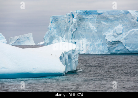 Blaue Eisberge in der Nähe von Süd-Orkney-Inseln, südlichen Ozean, Antarktis Stockfoto