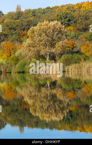 Wernauer Baggersee Steinbruch Teich Wernau Neckar Esslingen Baden