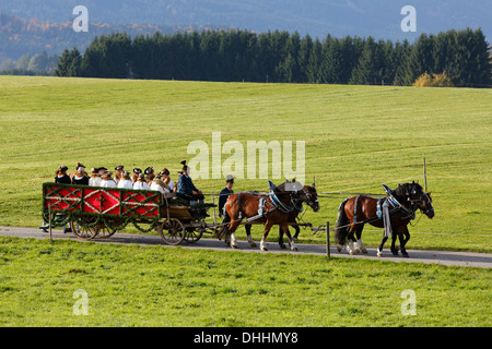 Pferdegespann, Leonhardiritt oder Leonhardifahrt Prozession, Wildsteig, Pfaffenwinkel Region, Upper Bavaria, Bayern, Deutschland Stockfoto