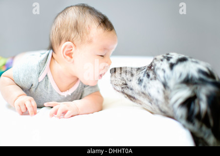 Baby Mädchen Angesicht zu Angesicht mit Hund Stockfoto