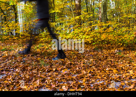 Beine des Mannes pflegen Herbst im Wald Nordic walking Stockfoto