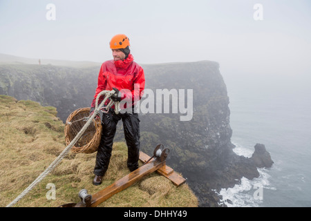 Sammeln von gemeinsamen Guillemot Eiern, (Uria Aalge), Ingolfshofdi, Island Stockfoto