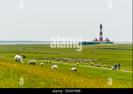 Schafe auf dem Deich und Leuchtturm Westerheversand, Westerhever, Eiderstedt, Northern Frisia, Schleswig Holstein, Deutschland Stockfoto