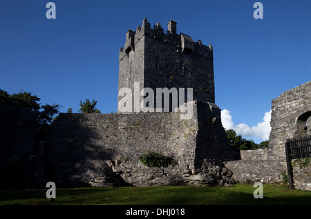 Aughnanure Castle (1490), einen späten mittelalterlichen Wohnturm am Ufer des Lough Corrib, Oughterard, Connemara, County Galway, Irland Stockfoto