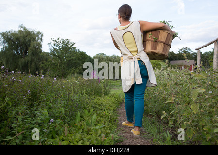 Frau mit Korb Pflanzen auf Familie Herb farm Stockfoto