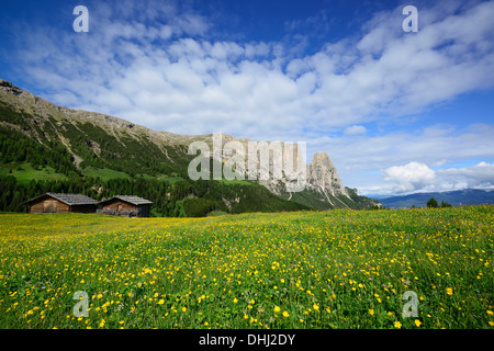 Blühende Wiese und Heu Scheunen vor Rosszaehne, Seiseralm, Schlern, Dolomiten, UNESCO Weltnaturerbe Dolomiten, S Stockfoto