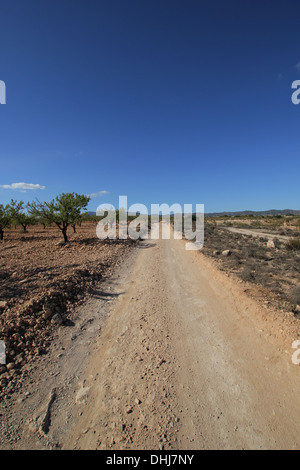 Ländliche Dirt-Track-Road, Murcia, Spanien Stockfoto