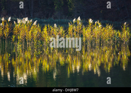 Schönsten Nationalparks Kroatiens - Plitvicer Seen Stockfoto