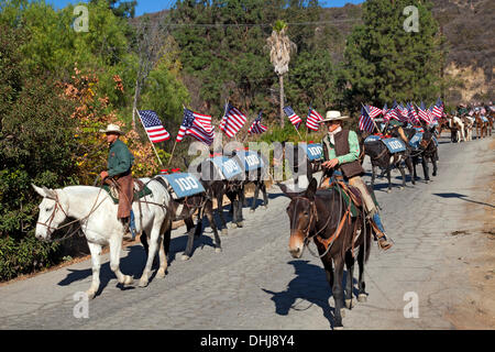 Glendale, Kalifornien, USA. 11. November 2013. Lauren Bon führt ein Maultier Veterans Day Parade in Glendale, Kalifornien, das ist die letzte Etappe einer Festschrift Künstler-Aktion namens "Ein hundert Maultiere zu Fuß Los Angeles Aquädukt", trainieren die war einen Monat lang, 240 Meile Reise von Owens Valley nach Los Angeles, das erinnert an den 100. Jahrestag der Eröffnung des Los Angeles Aquädukt. Kredit: Ambient Images Inc./Alamy Live-Nachrichten Stockfoto