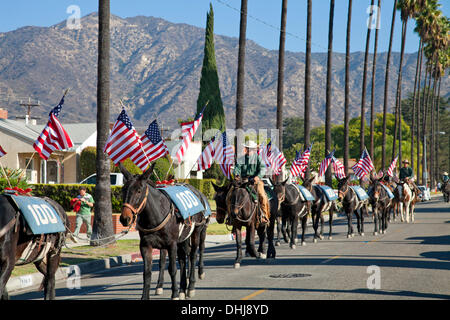 Glendale, Kalifornien, USA. 11. November 2013. Veterans Day Maultier Zug Parade in Glendale, Kalifornien, das ist die letzte Etappe einer Festschrift Künstler Aktion namens "Ein hundert Maultiere zu Fuß Los Angeles Aquädukt", das war einen Monat lang, 240 Meile Reise von Owens Valley nach Los Angeles, das erinnert an den 100. Jahrestag der Eröffnung des Los Angeles Aquädukt. Kredit: Ambient Images Inc./Alamy Live-Nachrichten Stockfoto