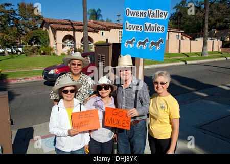 Glendale, Kalifornien, USA. 11. November 2013. Owens Valley Bewohner auf einem Maultier Veterans Day Parade in Glendale, Kalifornien, das ist die letzte Etappe einer Festschrift Künstler-Aktion namens "Ein hundert Maultiere zu Fuß Los Angeles Aquädukt", trainieren die war einen Monat lang, 240 Meile Reise von Owens Valley nach Los Angeles, das erinnert an den 100. Jahrestag der Eröffnung des Los Angeles Aquädukt. Kredit: Ambient Images Inc./Alamy Live-Nachrichten Stockfoto