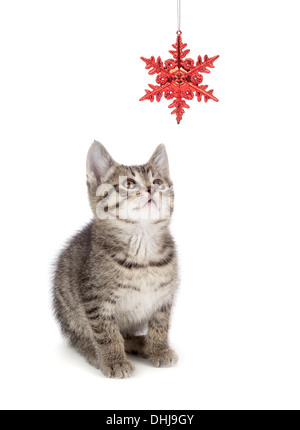 Süße gestreifte Kätzchen spielt mit eine rote Weihnachten Schneeflocke ornament auf einem weißen Hintergrund. Stockfoto