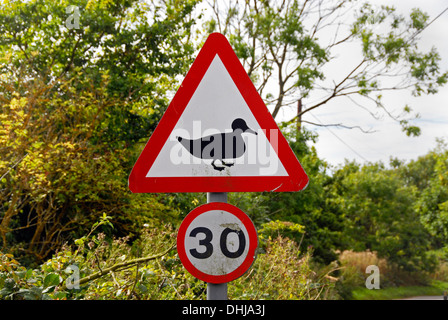 Straßenschild mit Ente und dreißig Meilen pro Stunde Höchstgeschwindigkeit Stockfoto