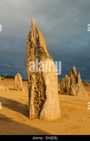 Zinnen, Nambung National Park, Western Australia, Australia Stockfoto