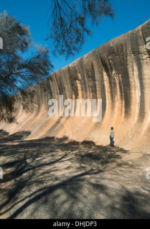 Wave Rock, geologische Attraktion, Hyden, Western Australia, mit Frau viewer Stockfoto