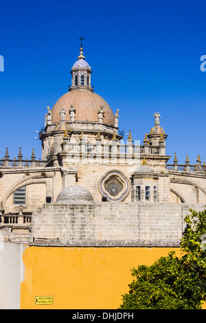Kathedrale von San Salvador. Jerez De La Frontera, Provinz Cadiz, Andalusien, Spanien Stockfoto