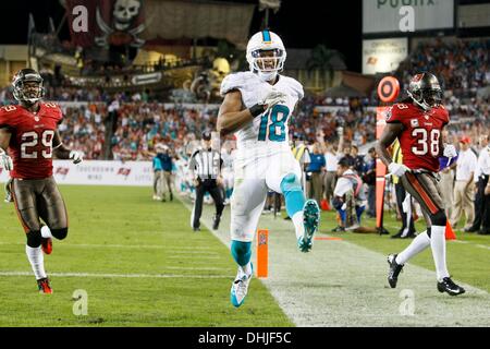 Tampa, Florida, USA. 11. November 2013. WILL VRAGOVIC | Times.Miami Delphine Wide Receiver Rishard Matthews (18) hohe Schritte nach seinem Tor einen Touchdown im dritten Quartal des Spiels zwischen den Tampa Bay Buccaneers und die Miami Dolphins im Raymond James Stadium in Tampa Florida auf Montag, 11. November 2013 in die Endzone. Bildnachweis: Willen Vragovic/Tampa Bucht Times/ZUMAPRESS.com/Alamy Live-Nachrichten Stockfoto