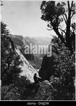 Vertikale Sicht durch Bäume in Zion Canyon von Sinawava Punkt. 520352 Stockfoto