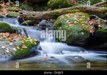 Ein Fluss im Smoky Mountains National Park in Gatlinburg, Tennessee entlang des Roaring Fork Motor Nature Trail. Stockfoto