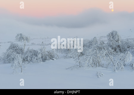 verschneite Landschaft in der Abenddämmerung, Lappland, Schweden Stockfoto