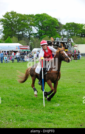 Ein Teilnehmer im Mounted Games statt auf Broadlands, Romsey, Hampshire, Großbritannien. Stockfoto