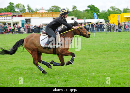 Ein Teilnehmer im Mounted Games statt auf Broadlands, Romsey, Hampshire, Großbritannien. Stockfoto