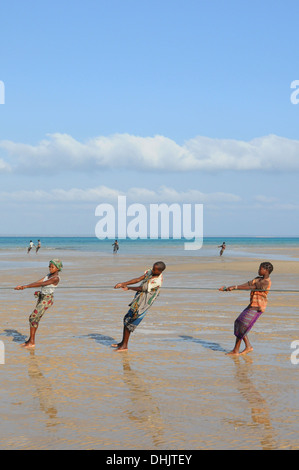 Die Dorfbewohner ziehen in Fischernetzen. Benguerra Island, Bazaruto Archipel. Mosambik. Ost-Afrika. Stockfoto