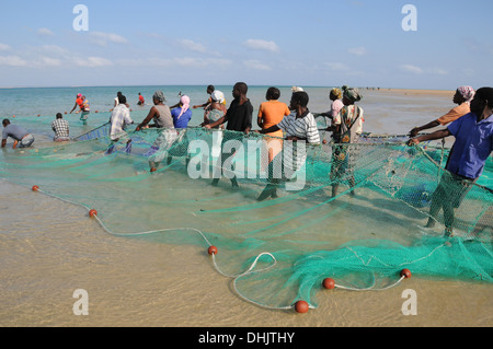 Die Dorfbewohner ziehen in Fischernetzen. Benguerra Island, Bazaruto Archipel. Mosambik. Ost-Afrika. Stockfoto