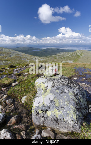 Blick vom Elgahogna auf See Femunden, Norwegen Stockfoto