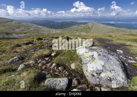 Blick vom Elgahogna auf See Femunden, Norwegen Stockfoto