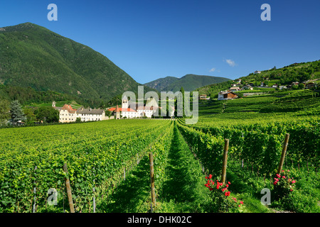 Weingut mit Kloster Neustift im Hintergrund, Kloster Neustift, Brixen, Südtirol, Italien Stockfoto