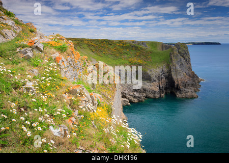 Lydstep nr Tenby Pembrokeshire Wales mit Caldey Island im Hintergrund Stockfoto