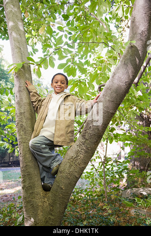 Junge in einem Baum Stockfoto