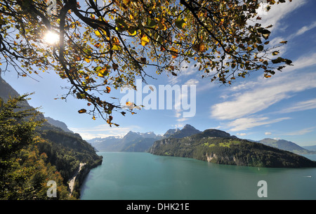 Blick über Brunnen auf See beschrieben und den Vierwaldstättersee, Kanton Schwyz, Zentralschweiz, Schweiz, Europa Stockfoto