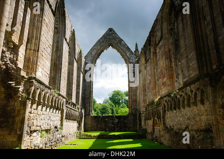 Bolton Abbey in der Nähe von Skipton Wharfedale Yorkshire Dales North Yorkshire England Stockfoto