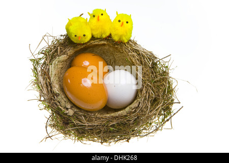 Nest mit Eiern und Hühnern Stockfoto