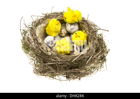 Nest mit Eiern und Hühnern Stockfoto
