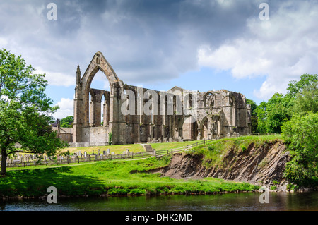 Bolton Abbey in der Nähe von Skipton Wharfedale Yorkshire Dales North Yorkshire England Stockfoto