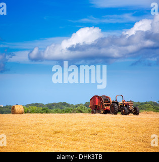 Menorca kombinieren Traktor Weizen mit Rundballen auf goldenen Feld Stockfoto