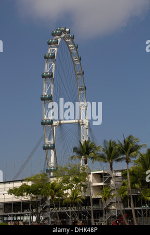 Vorbereitung des Formel1 Rennens mit Singapore Flyer und Marina Bay Sands im Hintergrund. Im Vordergrund sind Palmen. Stockfoto