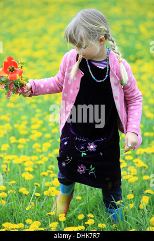 Ein kleines Mädchen auf Löwenzahn Feld Kind Stockfoto