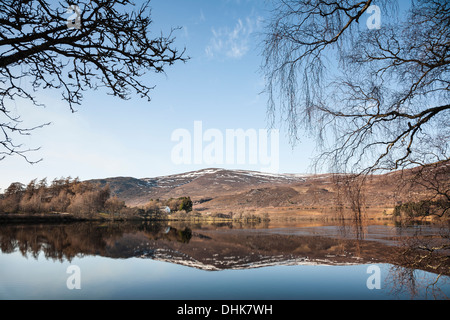 Loch Alvie im Cairngorm National Park in der Nähe von Aviemore in Schottland. Stockfoto