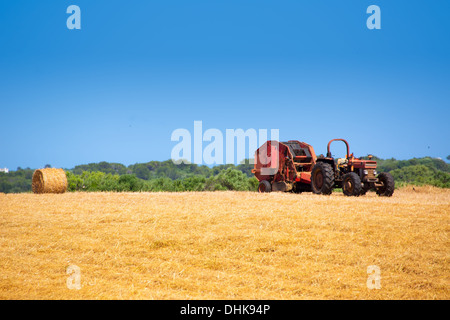 Menorca kombinieren Traktor Weizen mit Rundballen auf goldenen Feld Stockfoto